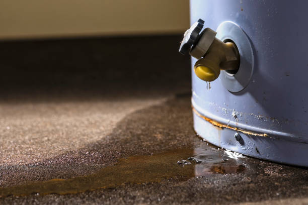 Professional Water damage restoration in Marlow Heights, MD