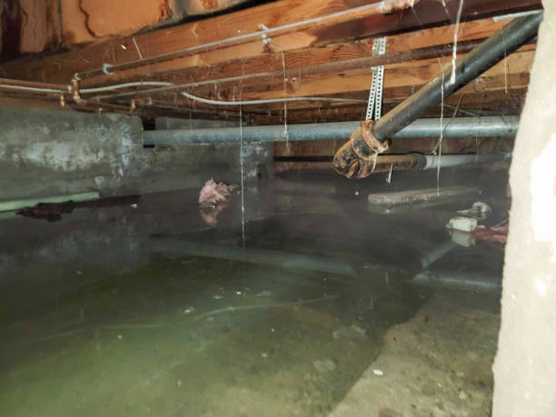 Best Water damage restoration process  in Marlow Heights, MD