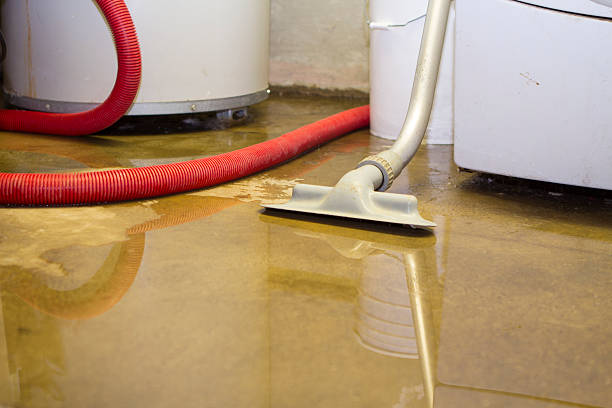 Water damage restoration process in Marlow Heights, MD