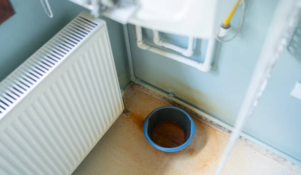 Best Flood damage cleanup  in Marlow Heights, MD